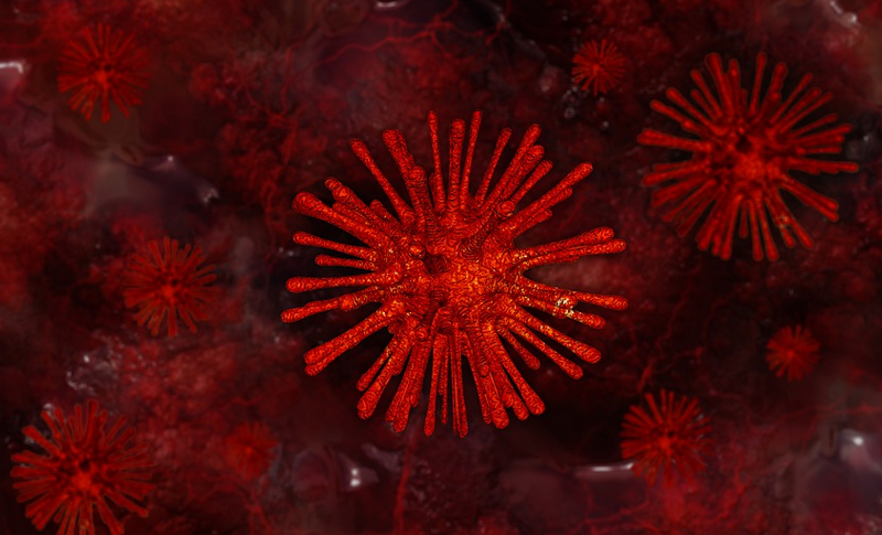 Characteristics Of Viruses And Bacteria